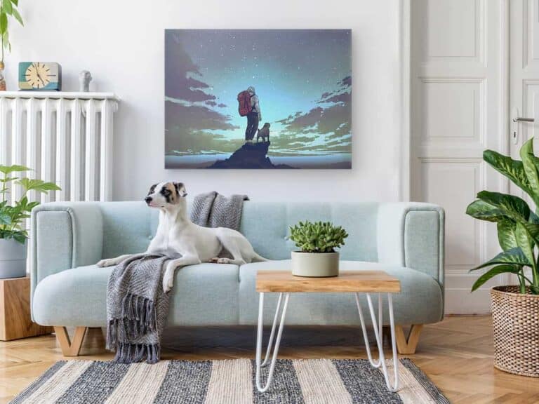 beautiful living room dog on couch