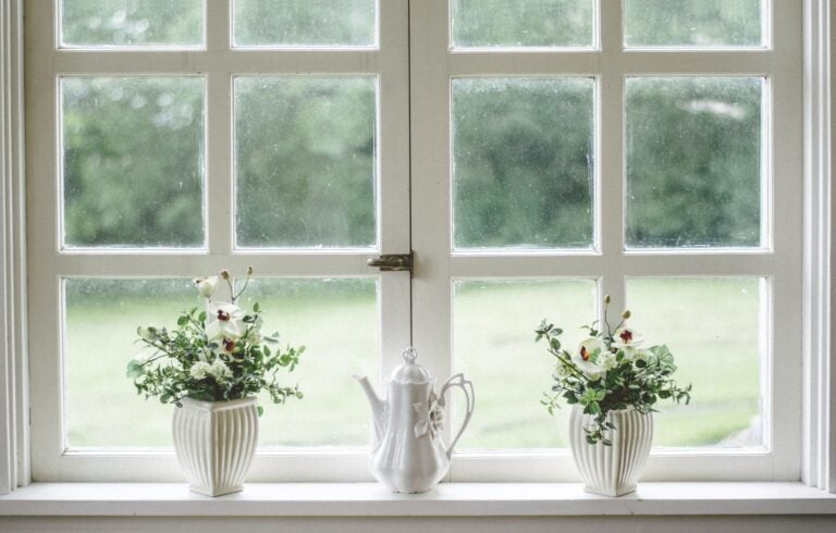 beuatiful rustic white window plants