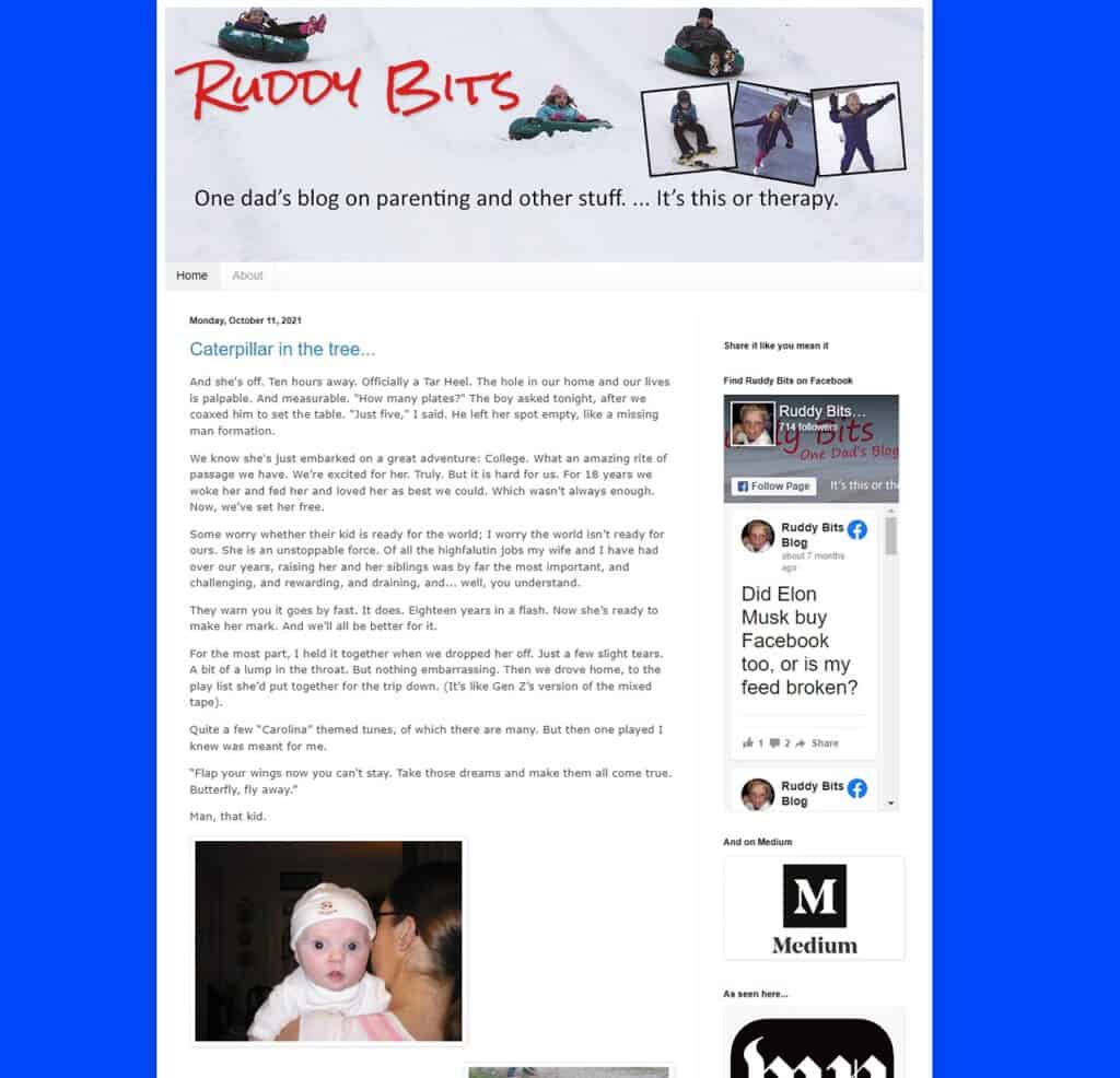 Are Dad Blogs Popular? Exploring the Rise of Dad Bloggers in 2023 5 ruddy bits website