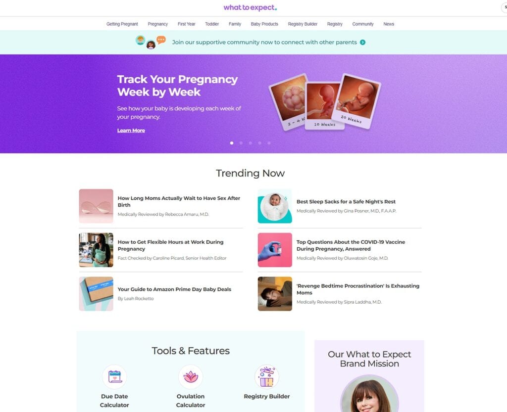 The Ultimate Guide to the Best Parenting Blogs for Expert Advice and Tips 9 what to expect blog