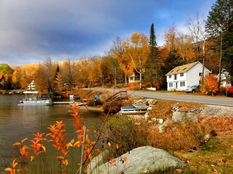 Fall Colors Near Lake in New Hampshire
