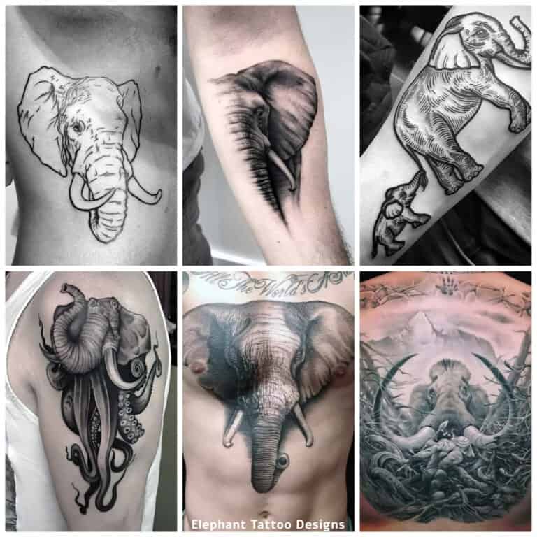 elephant tattoo designs for men