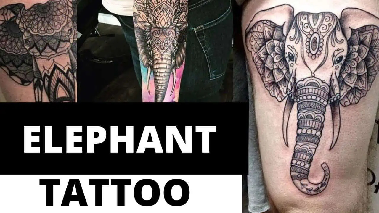 Elephant Tattoo Stock Photos and Images - 123RF