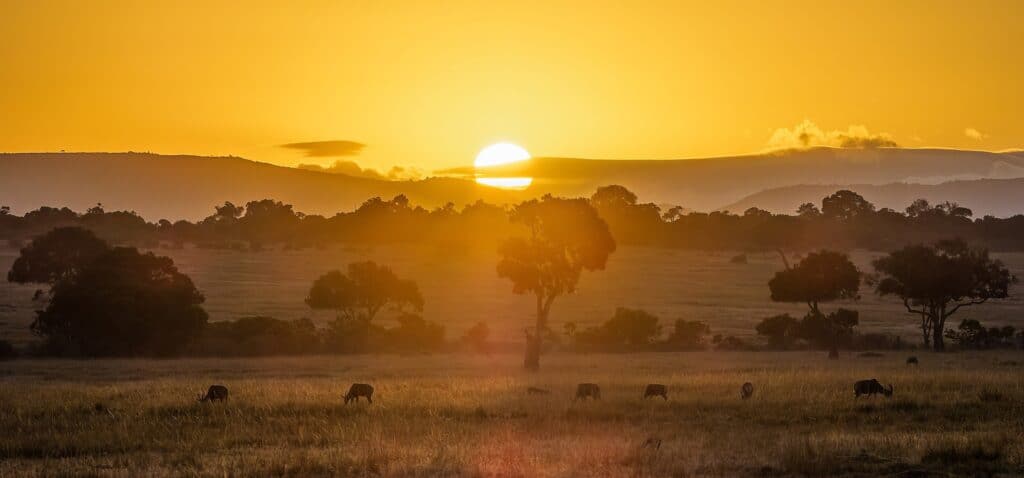 Travel Destinations for Lovers of the Great Outdoors 2 Maasai Mara