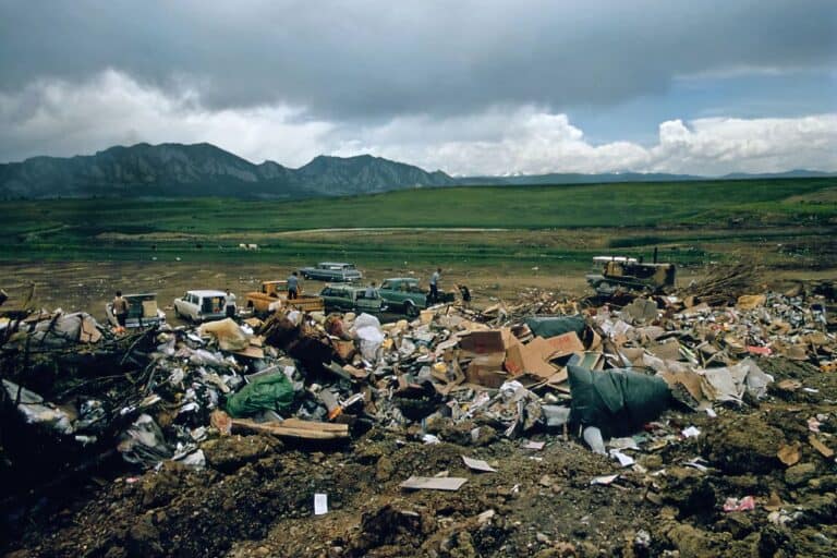 cars at california landfill