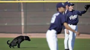 Funny Sports Pictures: 39 Moments That Will Make Your Day