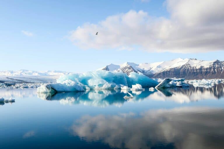 Iceland iceberg in ocean water