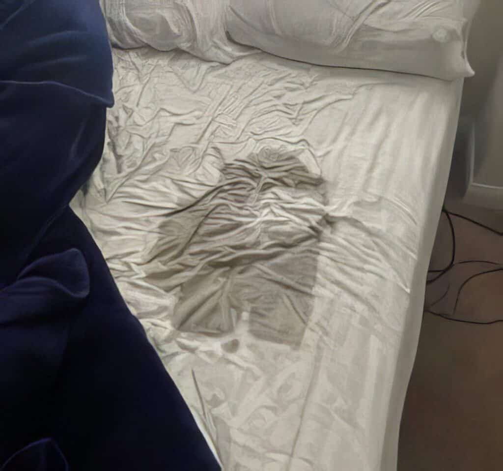 Wet Spot On The Bed? 7 Easy Fixes You’ll Wish You Knew Sooner 7 Wet Spot On The Bed 6