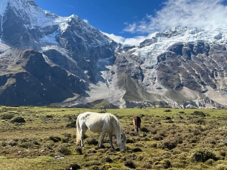 Majestic mountain landscape with snow-capped peaks and grazing horses in lush green valley, showcasing the stunning natural beauty of outdoor adventure and nature photography.