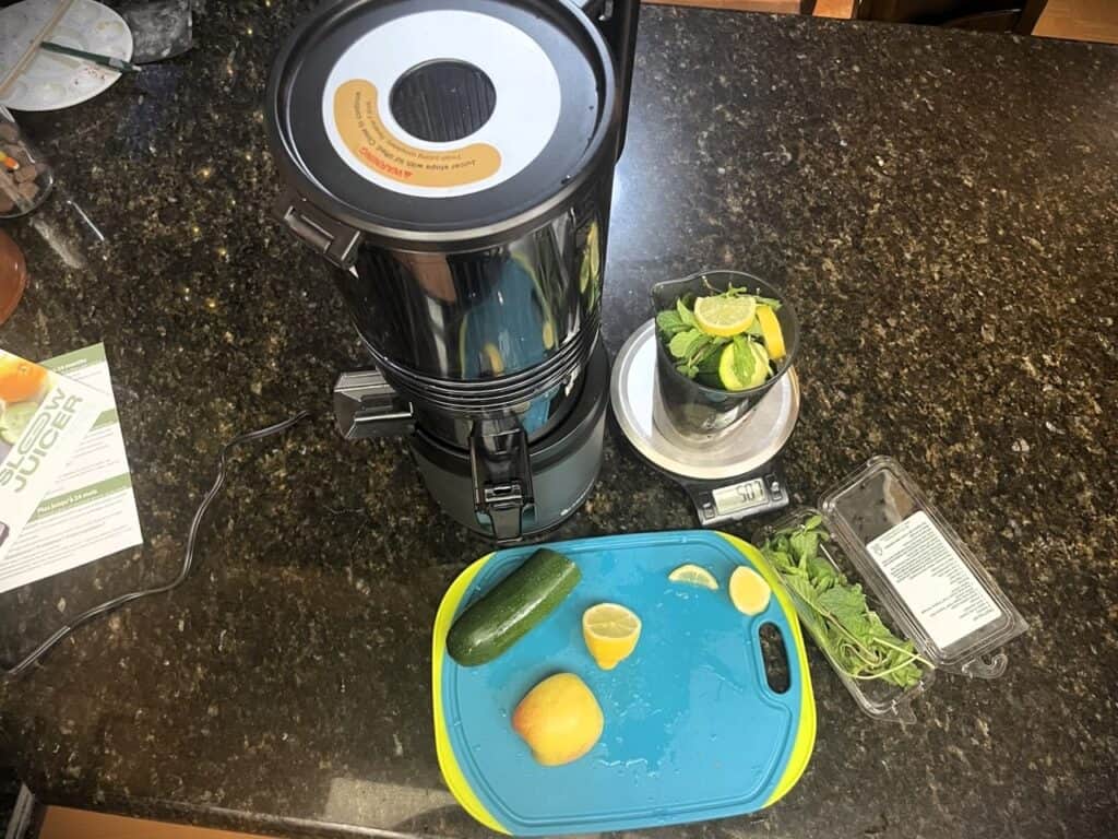 AMZCHEF Cold Press Juicer Review