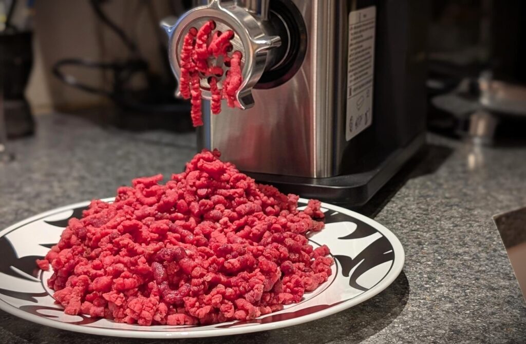 Aobosi Meat Grinder Review