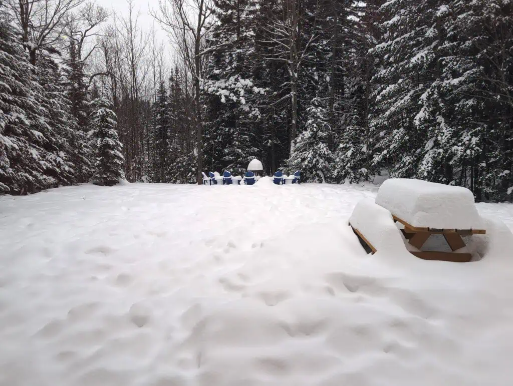 Review: Why Chalet Blue Jay is the Ultimate Guys' Getaway in Quebec 11 review chalet blue jay quebec 4