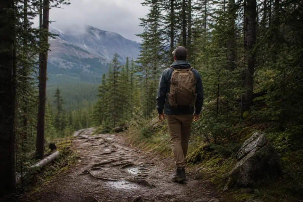How to Be a Man: Why Kindness, Not Toughness, Is the Metric of Maturity 3 Man hiking through a lush mountain forest trail with tall pine trees and distant mountains in the background, wearing outdoor gear and a backpack.