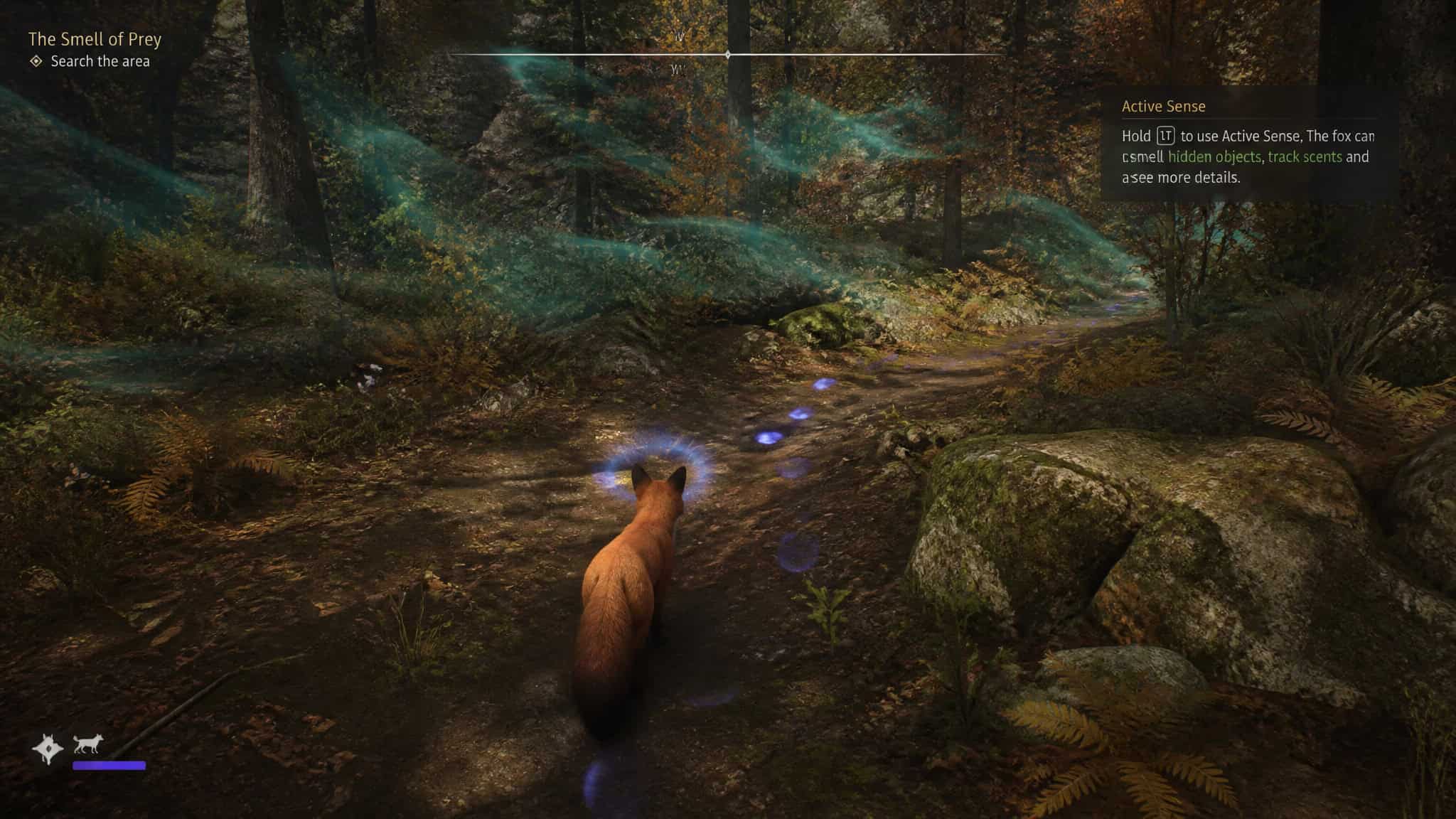 A bear walking through a lush, mystical forest with glowing blue lights and dense foliage, creating an enchanting and immersive natural environment.