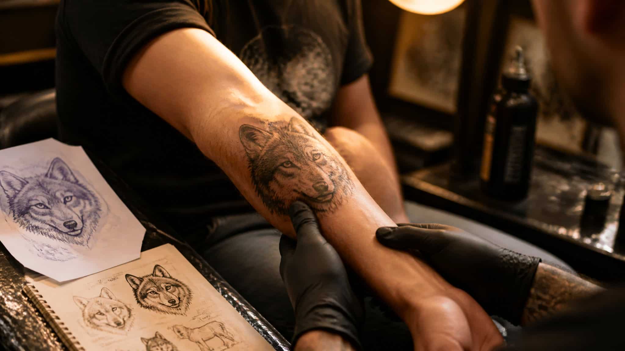 Wolf Tattoos with Meaning: 111 Designs and Who Each One Is Really For 115 Tattoo artist in black gloves working on a wolf tattoo on a client's forearm in a studio setting.