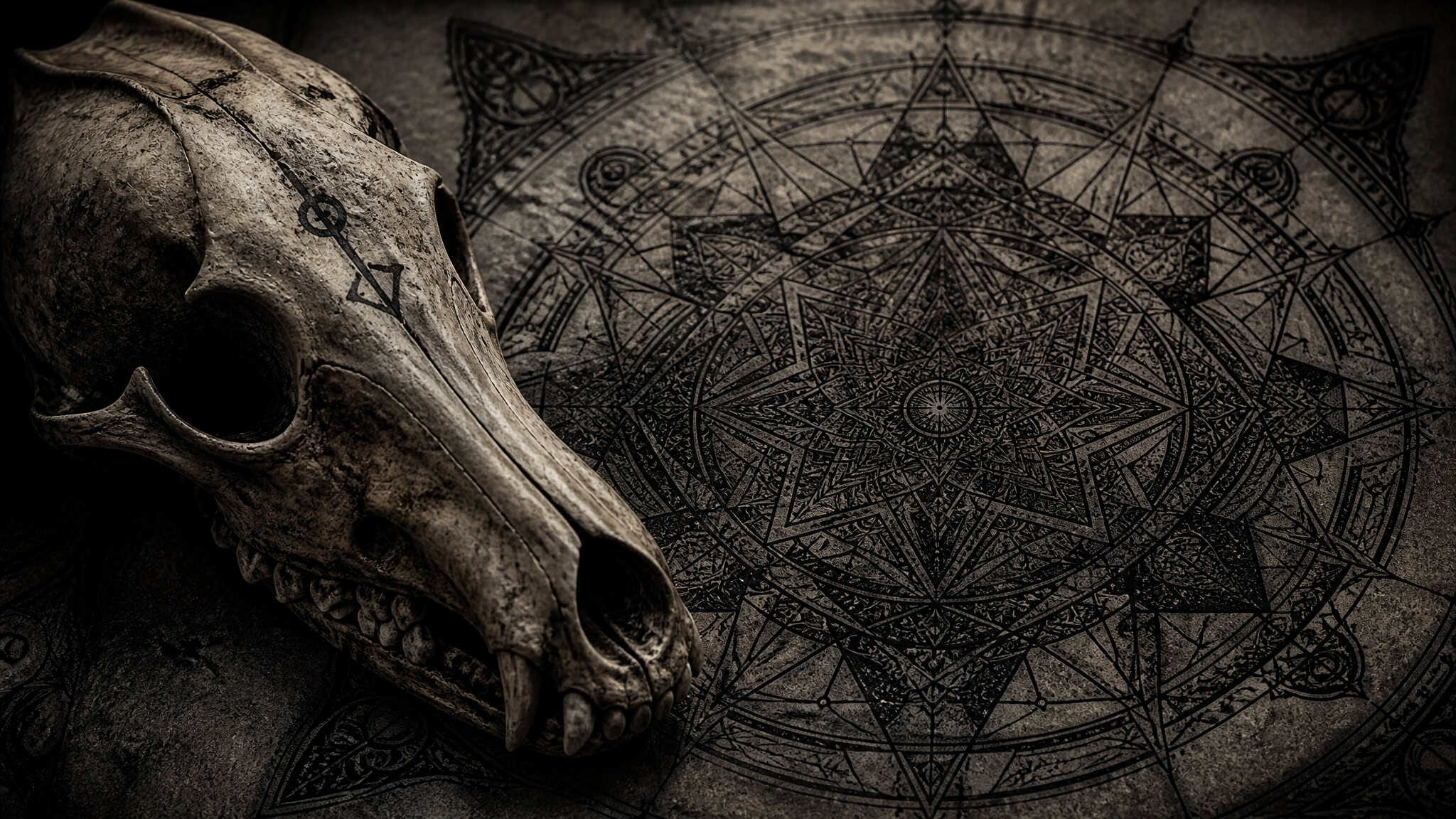 Wolf Tattoos with Meaning: 111 Designs and Who Each One Is Really For 113 Ancient animal skull placed on a detailed geometric and mystical pattern background, evoking themes of mystery and spirituality.
