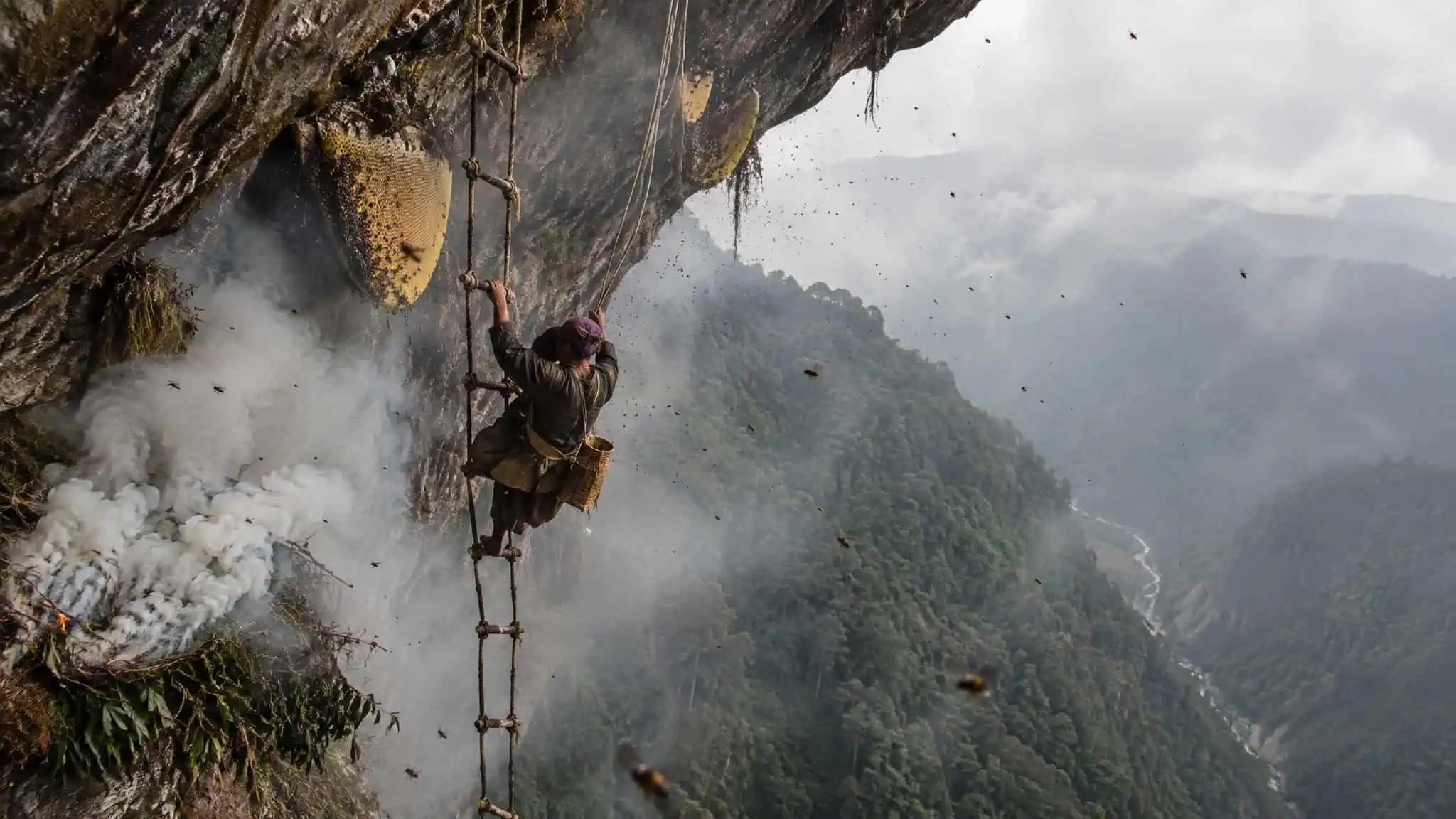 Nepal Himalayan Mad Honey Hunters: The Last Men on the Rope Ladders 2 A climber with a harness and helmet descending a steep mountain cliff with a rope, surrounded by mist and lush green mountains in the background.